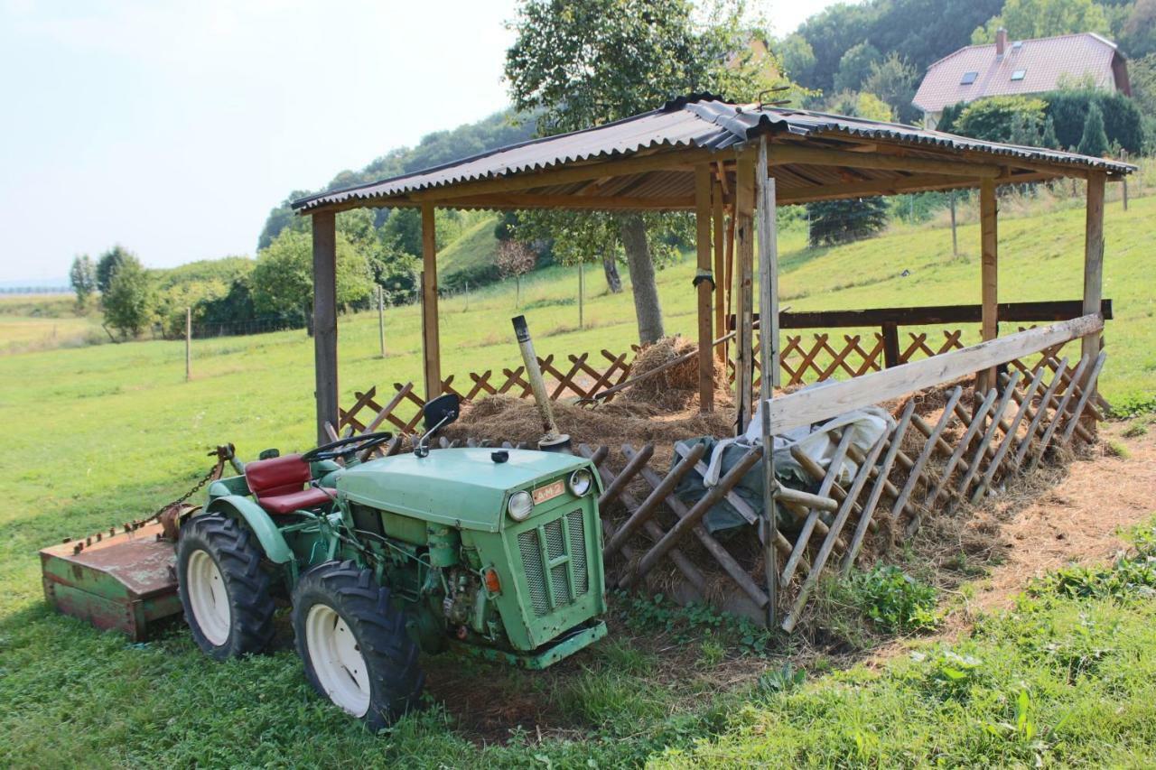 Ferienhof Graefe - 3-Seiten Hof Mit Grossem Garten, Pool & Sauna Meissen Ngoại thất bức ảnh